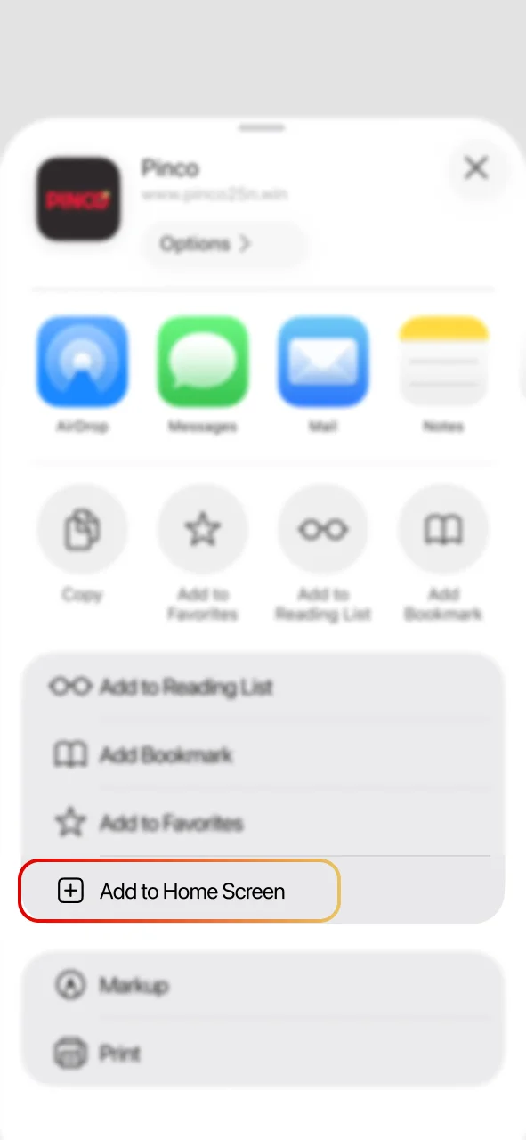 Select Add to Home Screen for Pinco app.