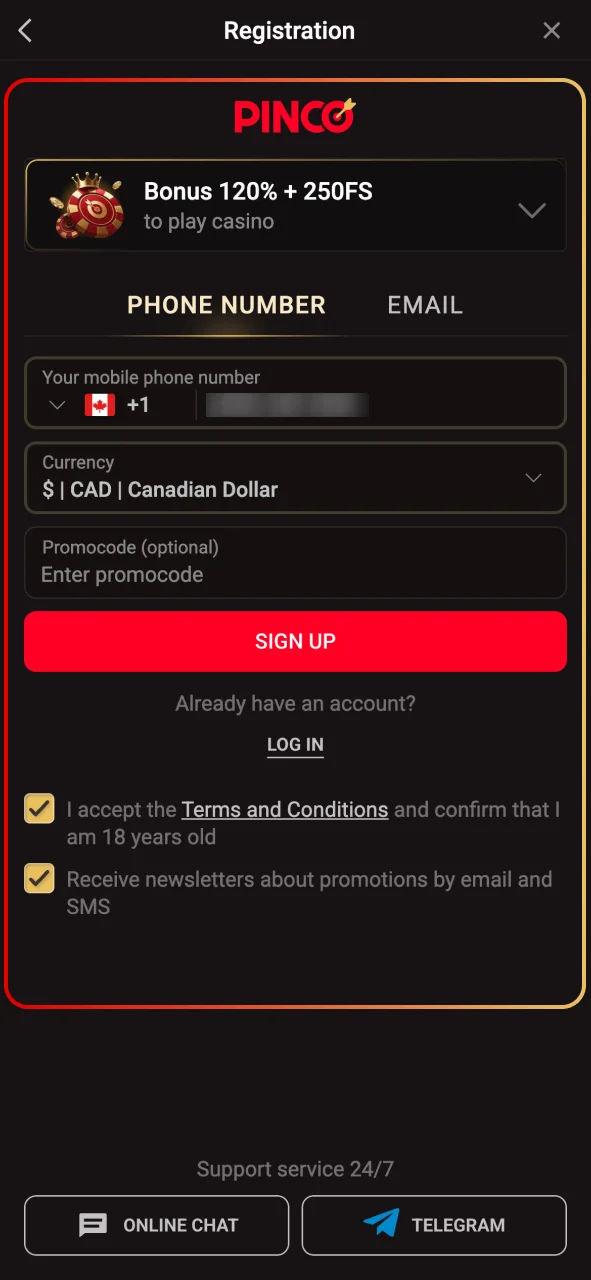 Visit the Pinco website and open Promotions.