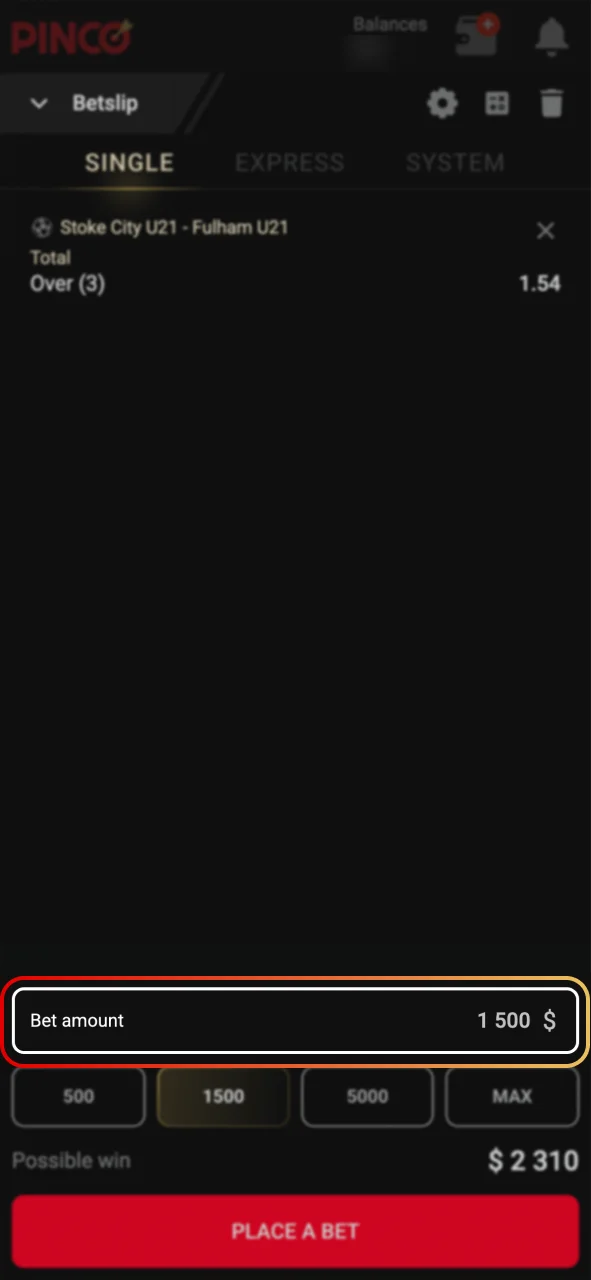 Enter your stake amount at Pinco.