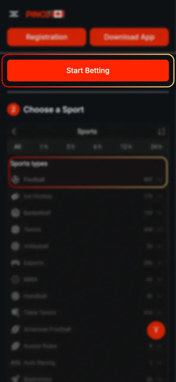 Click the button to join Pinco.