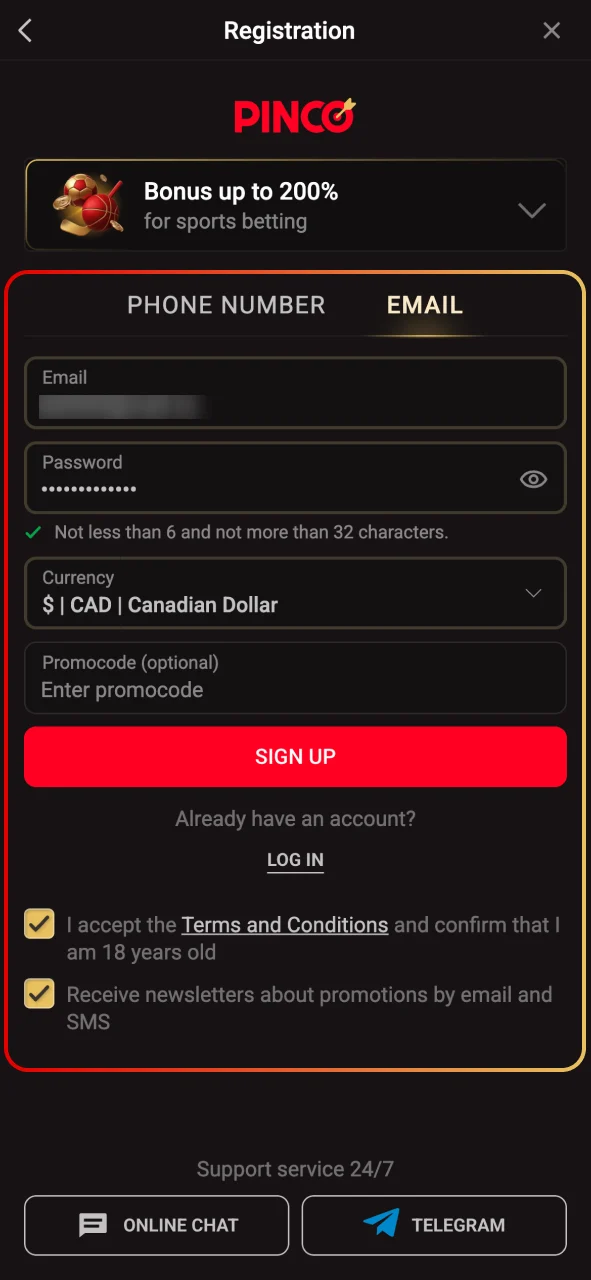 Create a strong password for your Pinco account.