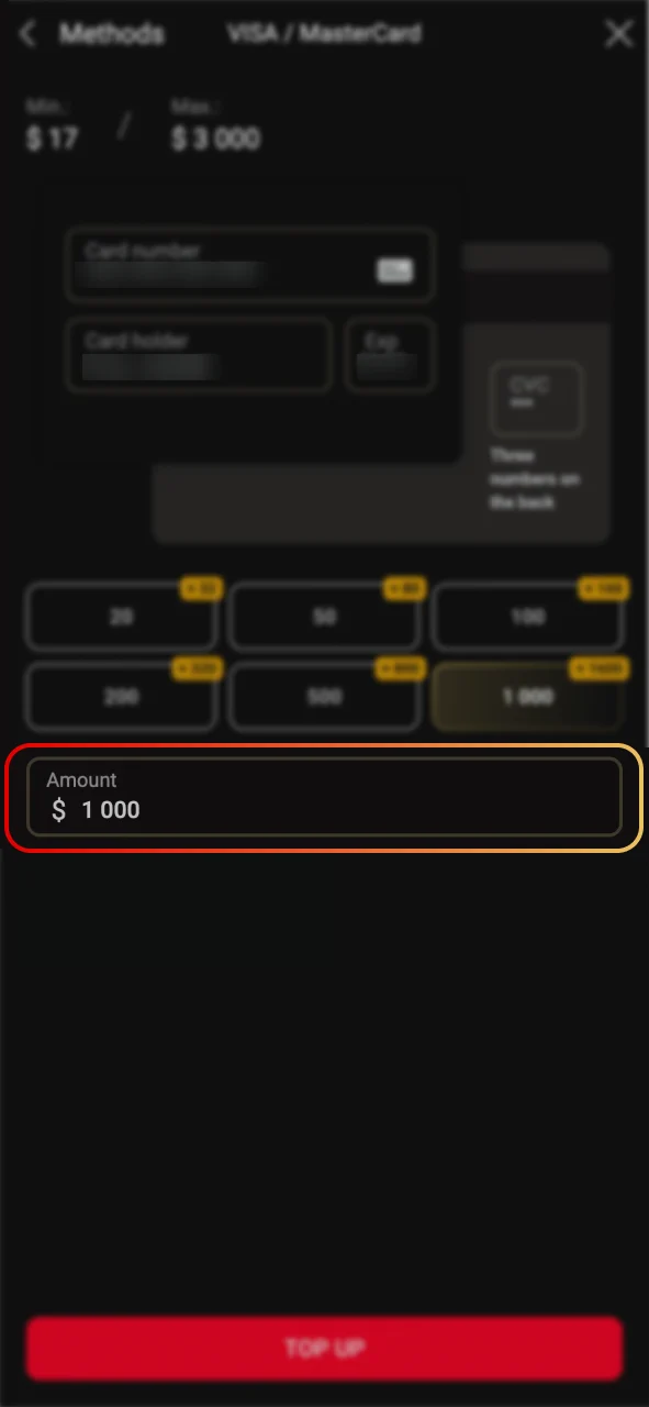 Navigate to Pinco Cashier to top up your account.