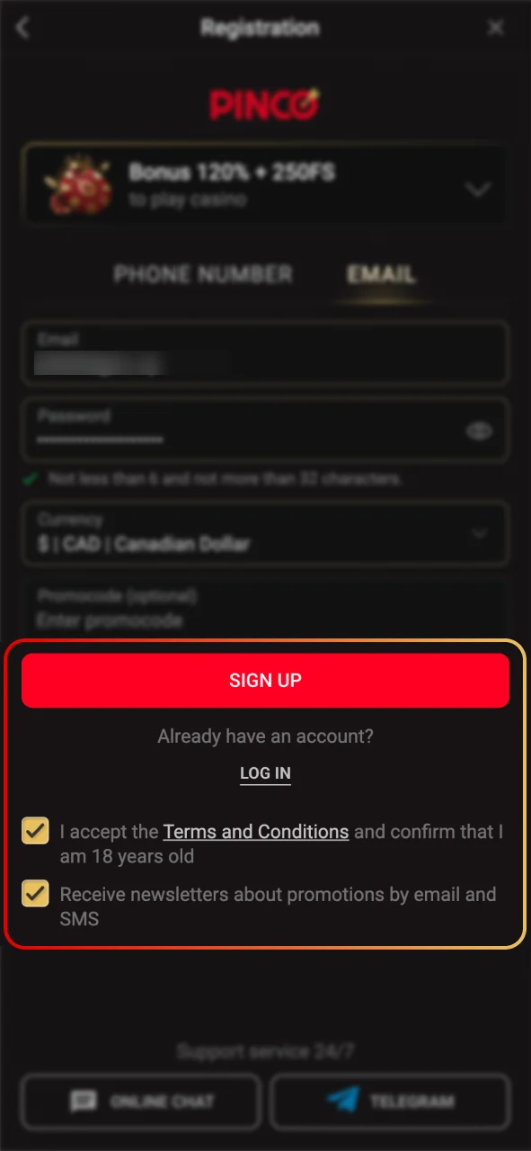 Accept Pinco terms and submit your registration.